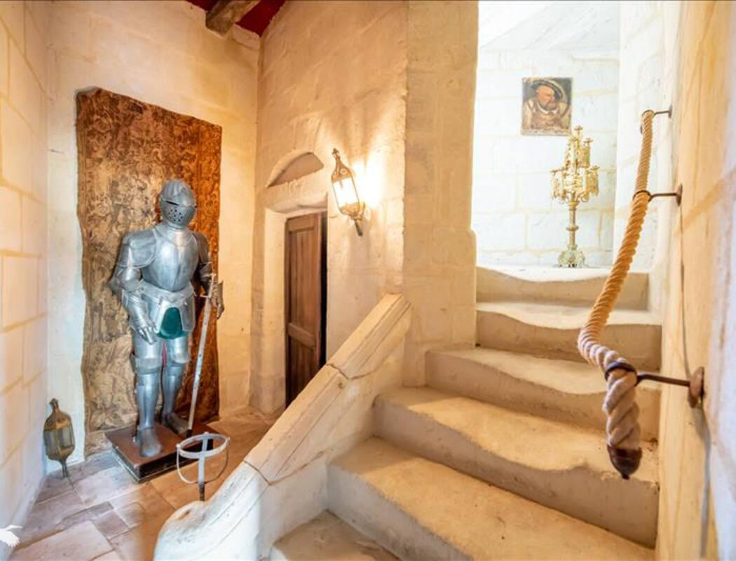 Chateau_Danzay_cage-escalier